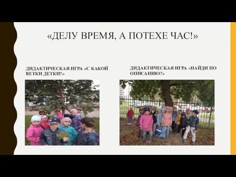 «ДЕЛУ ВРЕМЯ, А ПОТЕХЕ ЧАС!» ДИДАКТИЧЕСКАЯ ИГРА «С КАКОЙ ВЕТКИ ДЕТКИ?» ДИДАКТИЧЕСКАЯ ИГРА «НАЙДИ ПО ОПИСАНИЮ?»