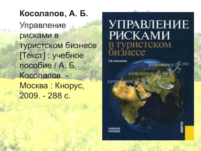 Косолапов, А. Б. Управление рисками в туристском бизнесе [Текст] : учебное пособие