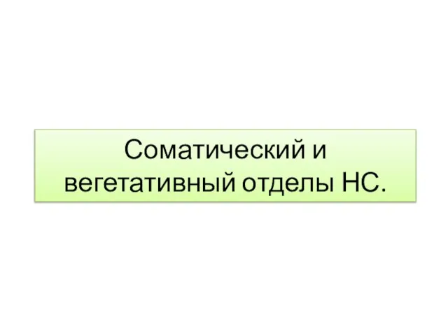 Соматический и вегетативный отделы НС.