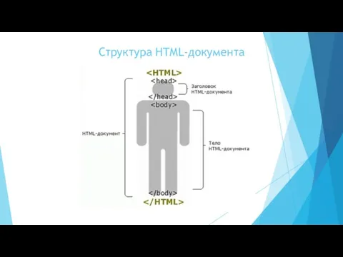 Структура HTML-документа