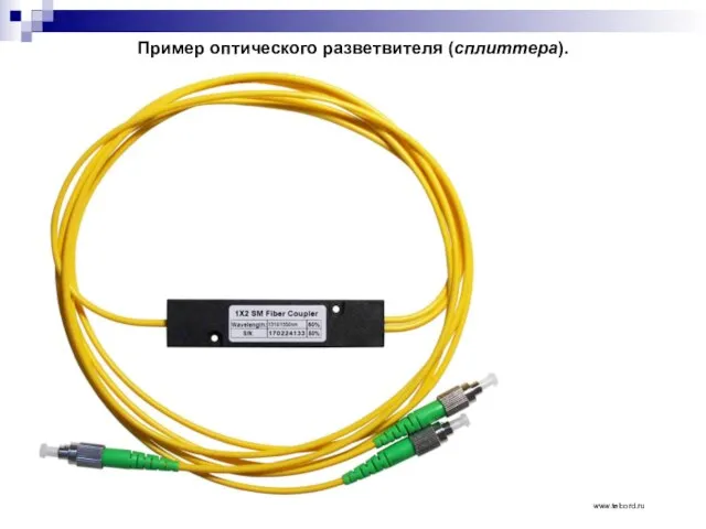 Пример оптического разветвителя (сплиттера). www.telcord.ru