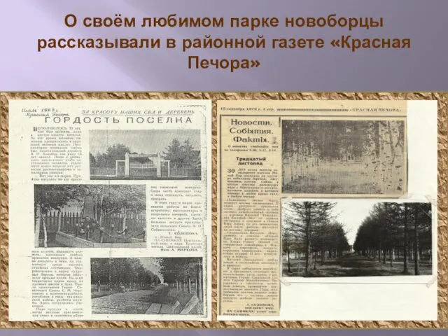 О своём любимом парке новоборцы рассказывали в районной газете «Красная Печора»