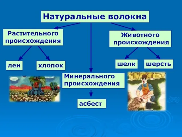 Натуральные волокна Растительного происхождения Животного происхождения Минерального происхождения асбест лен хлопок шерсть шелк