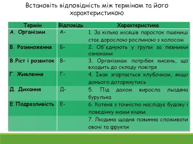 Встановіть відповідність між терміном та його характеристикою