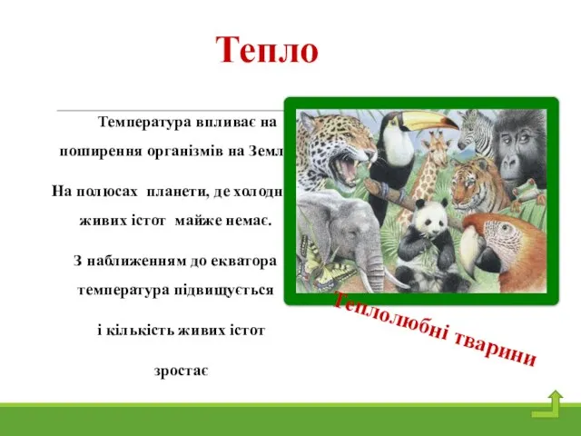 Тепло Температура впливає на поширення організмів на Землі. На полюсах планети, де