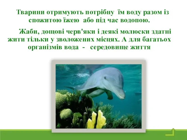 Тварини отримують потрібну їм воду разом із спожитою їжею або під час