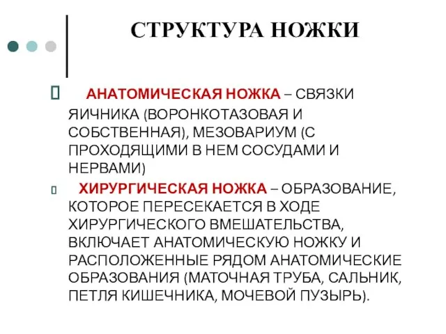 СТРУКТУРА НОЖКИ АНАТОМИЧЕСКАЯ НОЖКА – СВЯЗКИ ЯИЧНИКА (ВОРОНКОТАЗОВАЯ И СОБСТВЕННАЯ), МЕЗОВАРИУМ (С