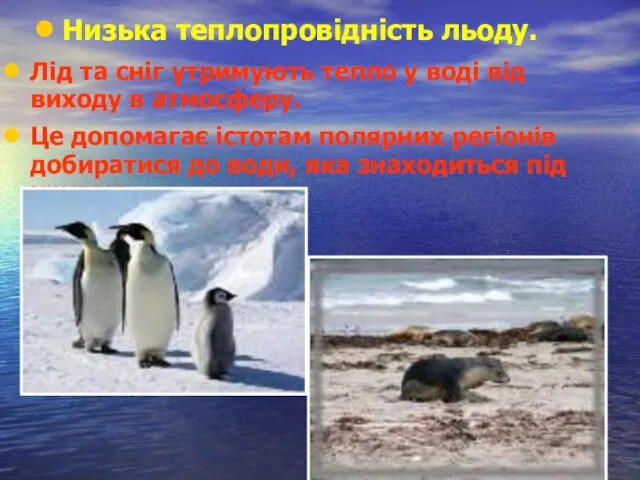 Низька теплопровідність льоду. Лід та сніг утримують тепло у воді від виходу