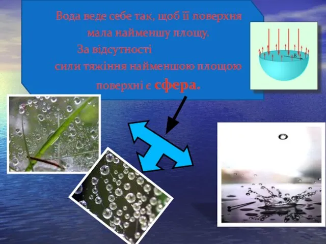 Вода веде себе так, щоб її поверхня мала найменшу площу. За відсутності