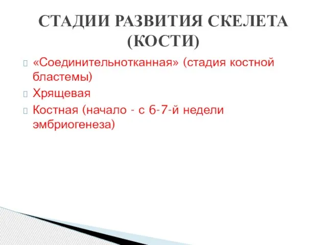 СТАДИИ РАЗВИТИЯ СКЕЛЕТА (КОСТИ) «Соединительнотканная» (стадия костной бластемы) Хрящевая Костная (начало - с 6-7-й недели эмбриогенеза)