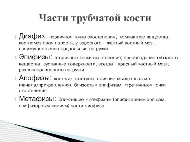 Части трубчатой кости Диафиз: первичная точка окостенения; компактное вещество; костномозговая полость; у