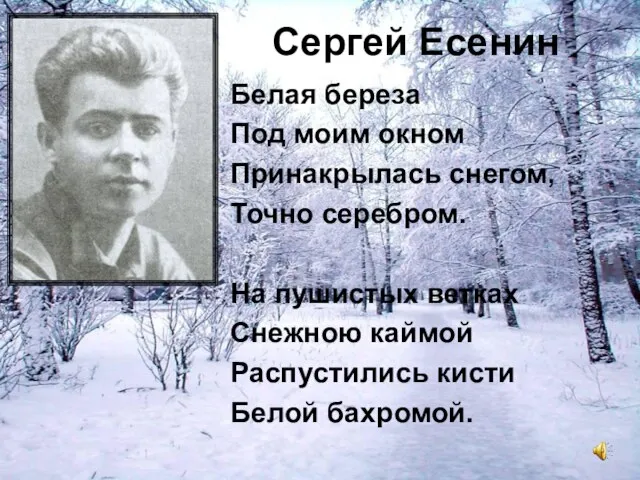 Сергей Есенин Белая береза Под моим окном Принакрылась снегом, Точно серебром. На