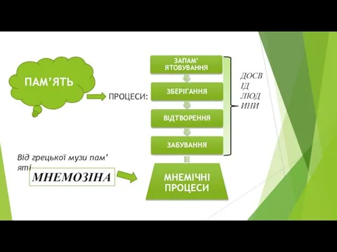 ПАМ’ЯТЬ ПРОЦЕСИ: ДОСВІД ЛЮДИНИ МНЕМОЗІНА Від грецької музи пам’яті