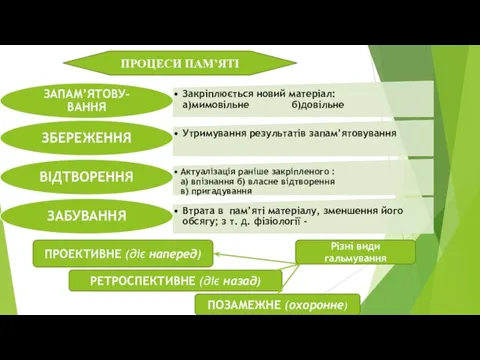 ПРОЦЕСИ ПАМ’ЯТІ ПРОЕКТИВНЕ (діє наперед) РЕТРОСПЕКТИВНЕ (діє назад) ПОЗАМЕЖНЕ (охоронне) Різні види гальмування