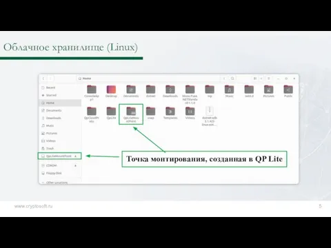 Облачное хранилище (Linux) www.cryptosoft.ru 5