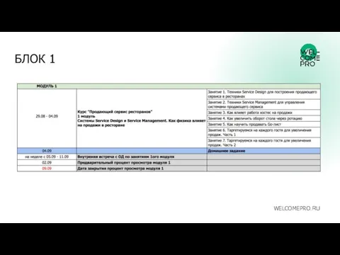 БЛОК 1 WELCOMEPRO.RU