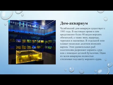 Дом-аквариум Челябинский дом-аквариум существует с 1983 года. В настоящее время в нем