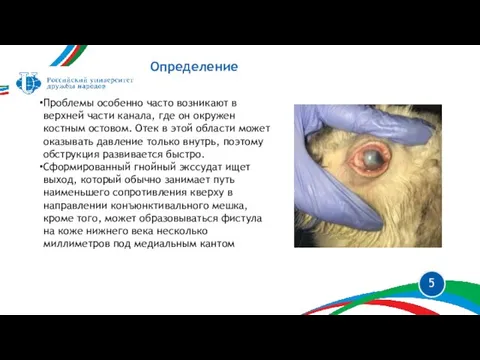 Определение Проблемы особенно часто возникают в верхней части канала, где он окружен