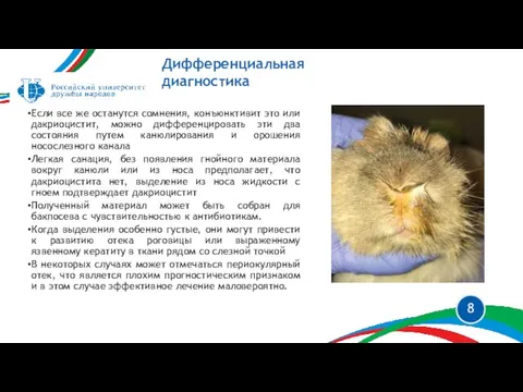 Если все же останутся сомнения, конъюнктивит это или дакриоцистит, можно дифференцировать эти