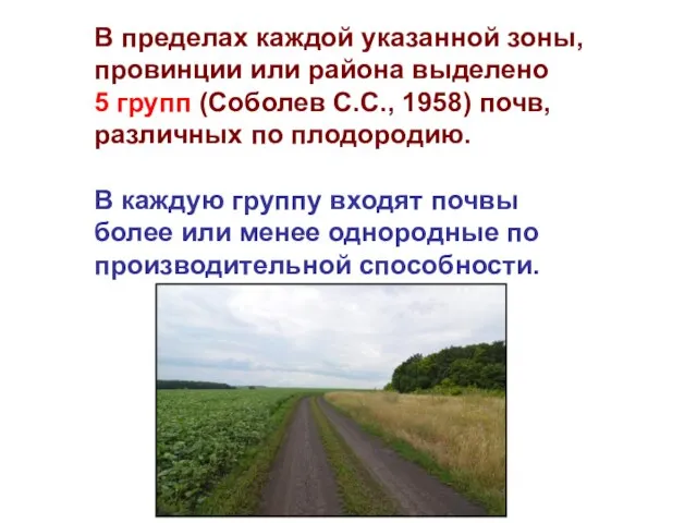 В пределах каждой указанной зоны, провинции или района выделено 5 групп (Соболев