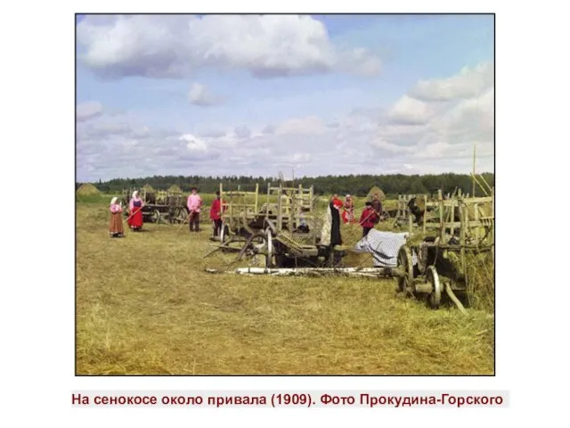 На сенокосе около привала (1909). Фото Прокудина-Горского