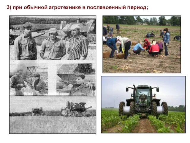 3) при обычной агротехнике в послевоенный период;