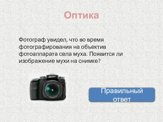 Оптика Фотограф увидел, что во время фотографирования на объектив фотоаппарата села муха.