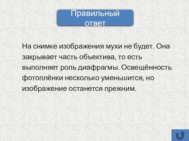 На снимке изображения мухи не будет. Она закрывает часть объектива, то есть