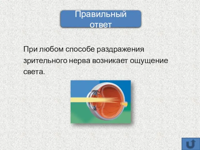 При любом способе раздражения зрительного нерва возникает ощущение света. Правильный ответ