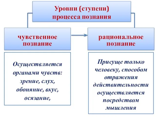 Уровни (ступени) процесса познания чувственное познание Осуществляется органами чувств: зрение, слух, обоняние,