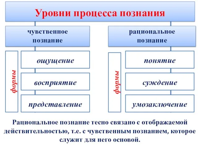 Уровни процесса познания чувственное познание формы ощущение рациональное познание восприятие представление формы