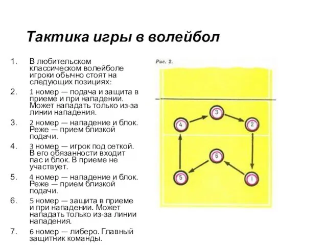 Тактика игры в волейбол В любительском классическом волейболе игроки обычно стоят на