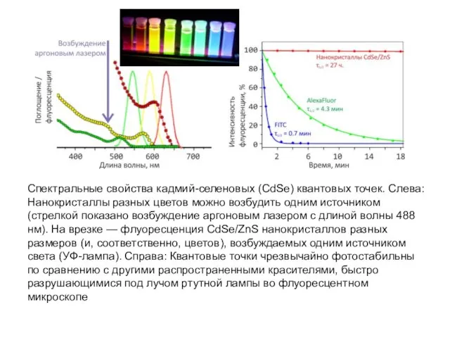 Спектральные свойства кадмий-селеновых (CdSe) квантовых точек. Слева: Нанокристаллы разных цветов можно возбудить