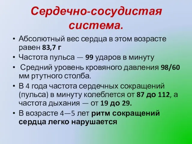 Сердечно-сосудистая система. Абсолютный вес сердца в этом возрасте равен 83,7 г Частота