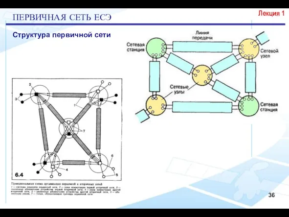 Лекция 1 ПЕРВИЧНАЯ СЕТЬ ЕСЭ Структура первичной сети