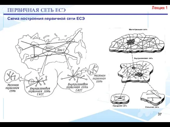 Лекция 1 Схема построения первичной сети ЕСЭ ПЕРВИЧНАЯ СЕТЬ ЕСЭ