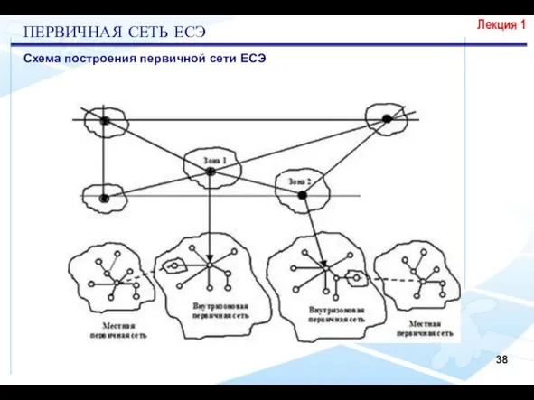 Лекция 1 Схема построения первичной сети ЕСЭ ПЕРВИЧНАЯ СЕТЬ ЕСЭ