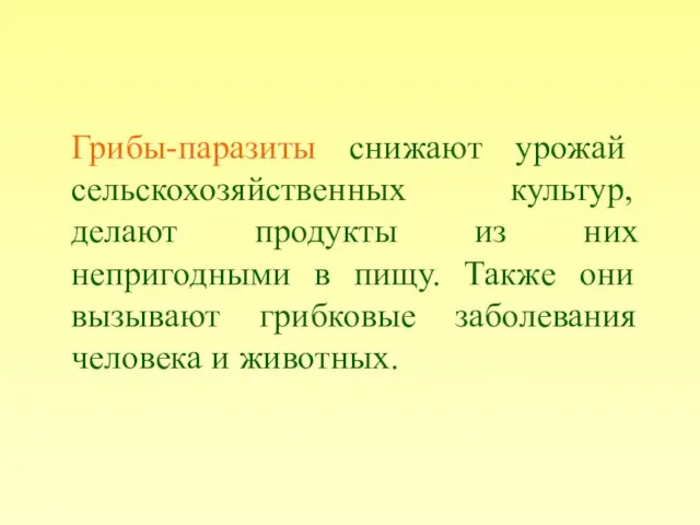 Грибы-паразиты снижают урожай сельскохозяйственных культур, делают продукты из них непригодными в пищу.