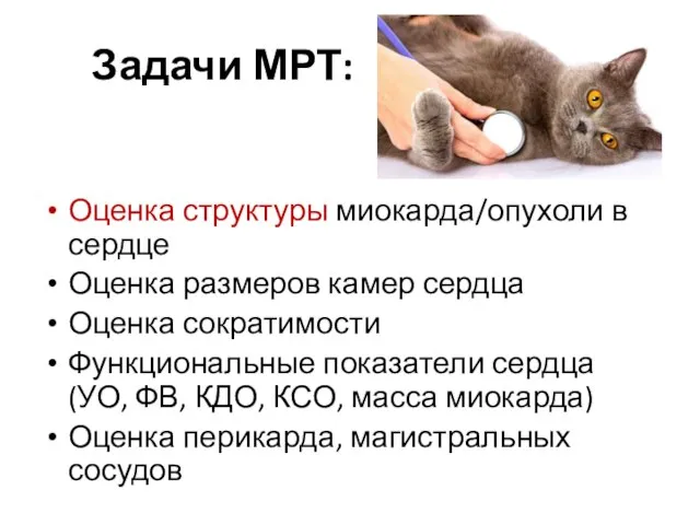 Задачи МРТ: Оценка структуры миокарда/опухоли в сердце Оценка размеров камер сердца Оценка