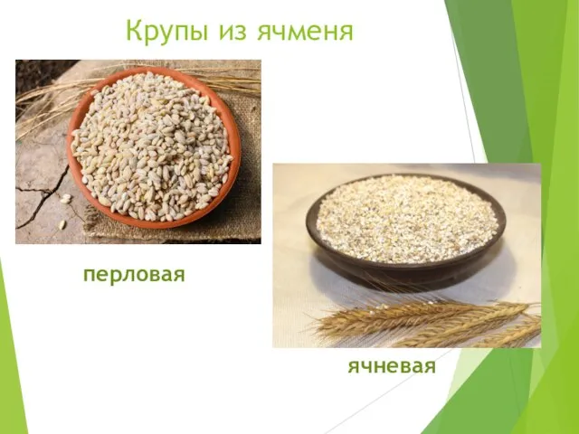 Крупы из ячменя перловая ячневая