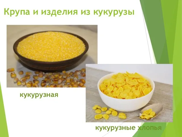 Спасибо за внимание Крупа и изделия из кукурузы кукурузная кукурузные хлопья