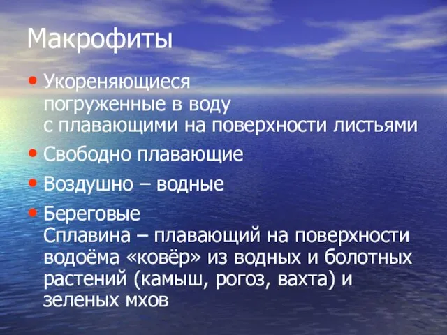 Макрофиты Укореняющиеся погруженные в воду с плавающими на поверхности листьями Свободно плавающие