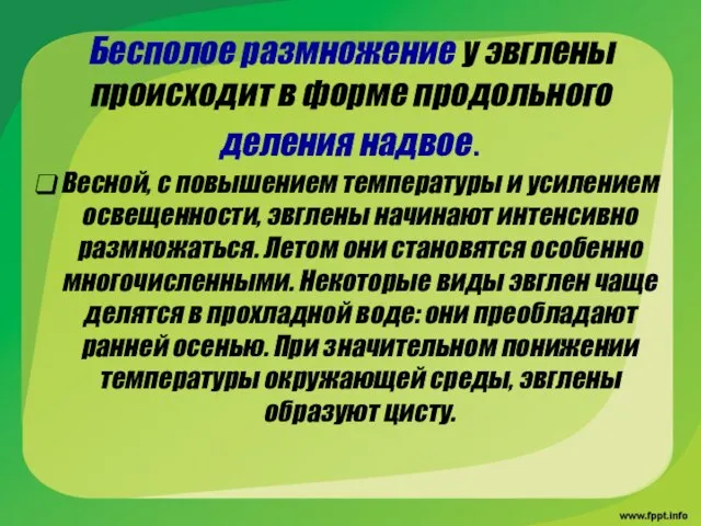 Бесполое размножение у эвглены происходит в форме продольного деления надвое. Весной, с