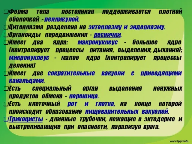 Форма тела постоянная поддерживается плотной оболочкой - пелликулой. Цитоплазма разделена на эктоплазму