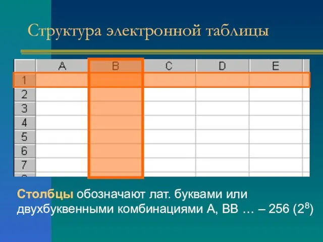 Столбцы обозначают лат. буквами или двухбуквенными комбинациями А, BB … – 256 (28) Структура электронной таблицы