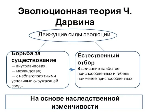 Эволюционная теория Ч.Дарвина На основе наследственной изменчивости