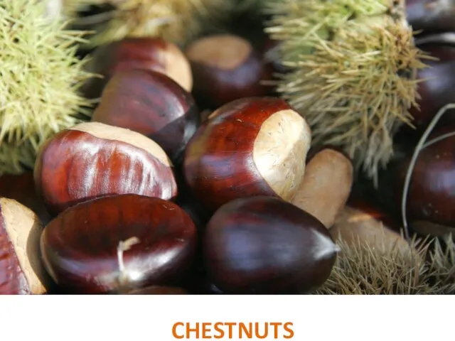 CHESTNUTS