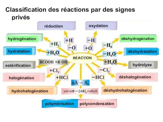 Classification des réactions par des signes privés hydratation déshydratation polymérisation hydrogénation déshydrogénation