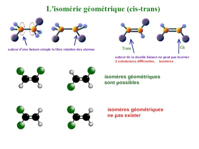 L'isomérie géométrique (cis-trans) autour d'une liaison simple la libre rotation des atomes