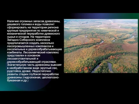 Наличие огромных запасов древесины, дешевого топлива и воды позволит сформировать на территории